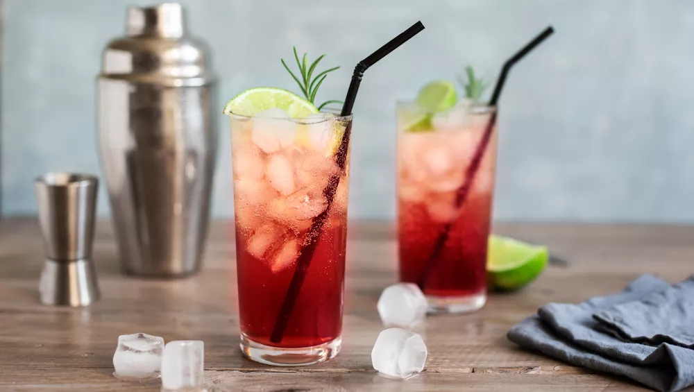 Sloe Gin - mit frischen, vollreifen Schlehdornfrüchten