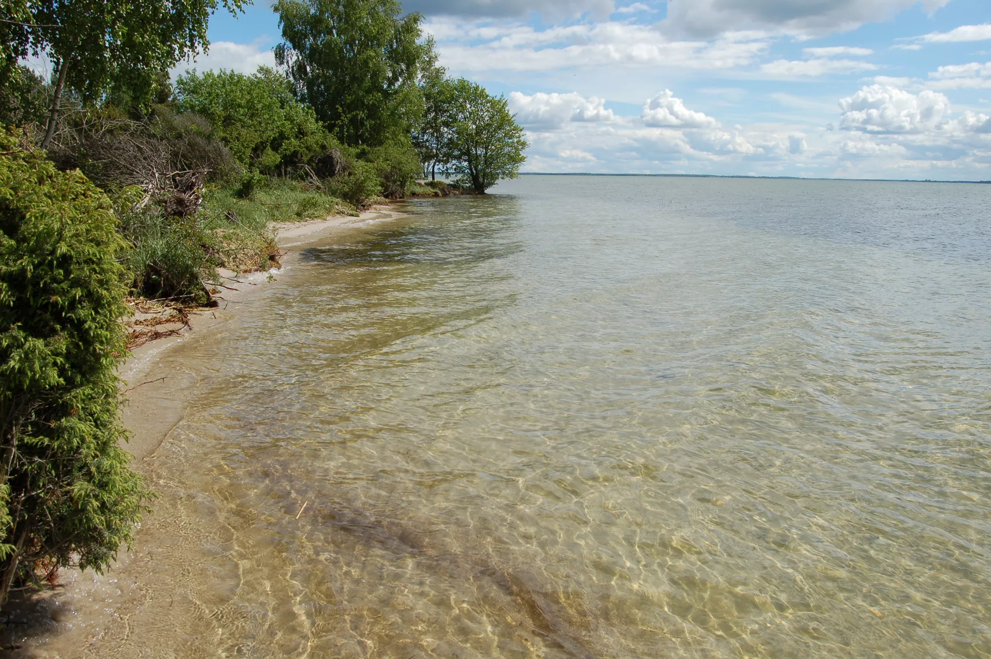 Die Müritz direkt im Müritz Nationalpark
